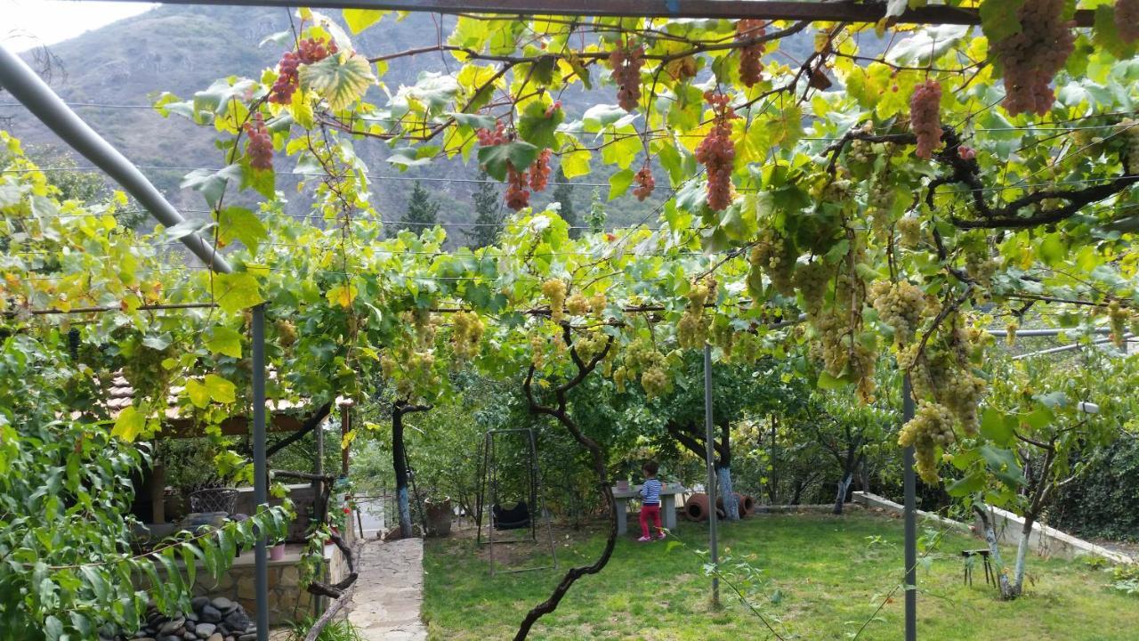 Guest House Ucha Mtsʼkhetʼa Exterior foto