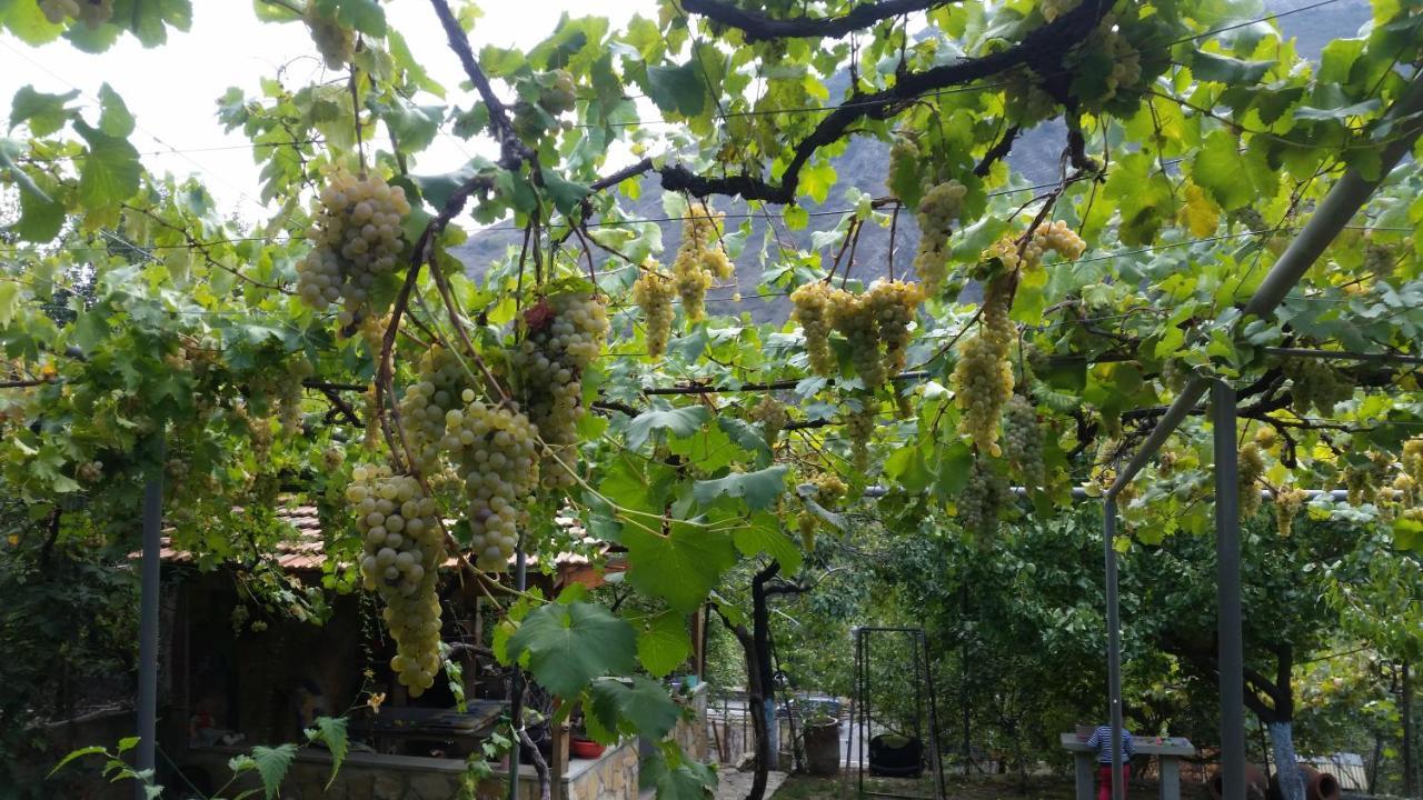 Guest House Ucha Mtsʼkhetʼa Exterior foto