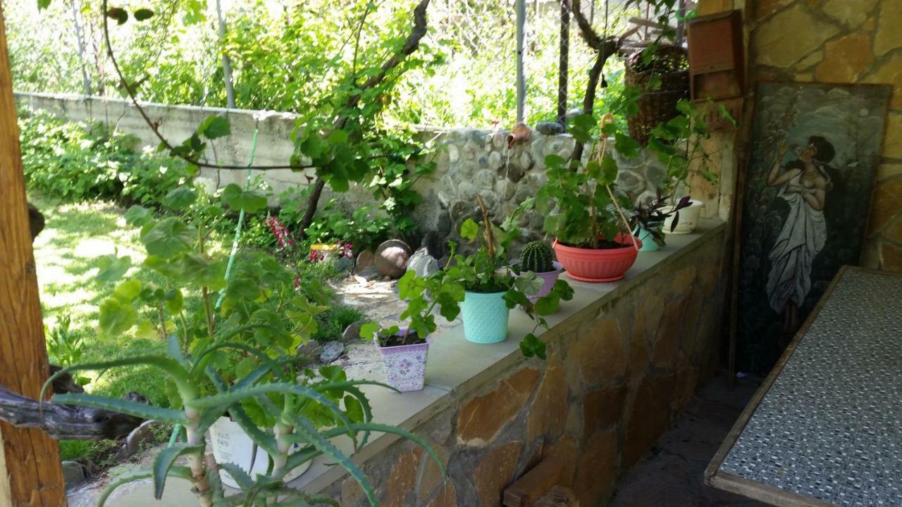Guest House Ucha Mtsʼkhetʼa Exterior foto
