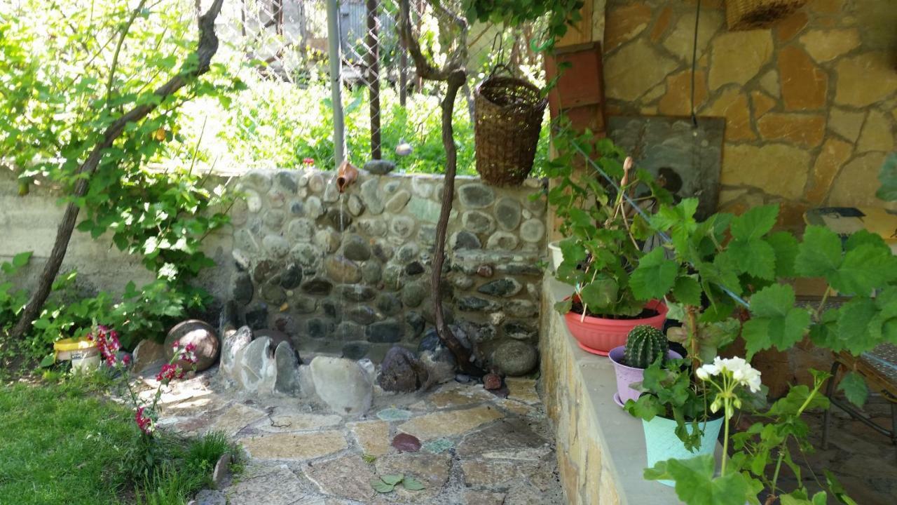 Guest House Ucha Mtsʼkhetʼa Exterior foto